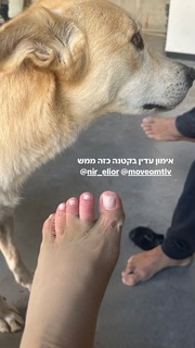 Danit Greenberg feet photo thumbnail