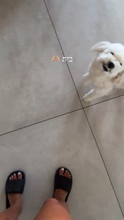 Danit Greenberg feet photo thumbnail