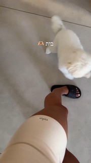 Danit Greenberg feet photo thumbnail