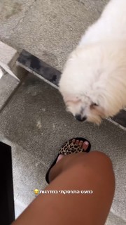 Danit Greenberg feet photo thumbnail