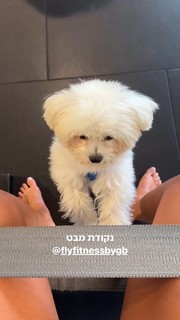 Danit Greenberg feet photo thumbnail