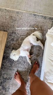 Danit Greenberg feet photo thumbnail