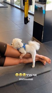 Danit Greenberg feet photo thumbnail