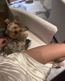 Danna Paola feet photo thumbnail