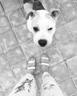 Danni Menzies feet photo 1