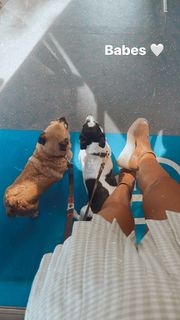 Danni Menzies feet photo 15