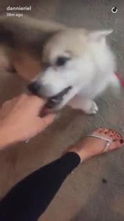 Dannie Riel feet photo 8