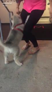 Dannie Riel feet photo 6