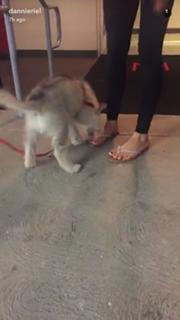 Dannie Riel feet photo 5