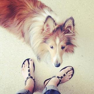Dannii Minogue feet photo thumbnail