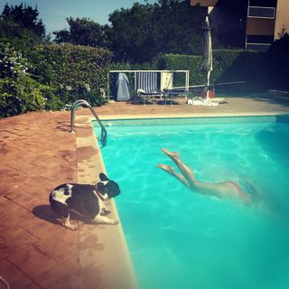 Dany Verissimo-Petit feet photo 7