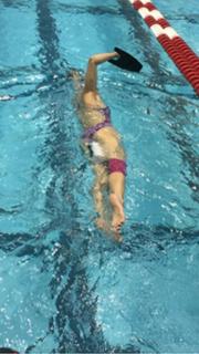 Dara Torres feet photo 10