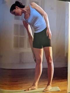 Darcey Bussell feet photo 2
