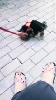 Dareen Haddad feet photo 3