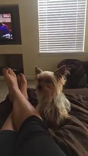 Daria Berenato feet photo thumbnail