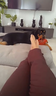 Daria Berenato feet photo thumbnail