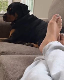 Daria Berenato feet photo thumbnail