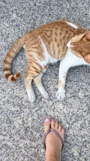 Darya Zoteeva feet photo 11