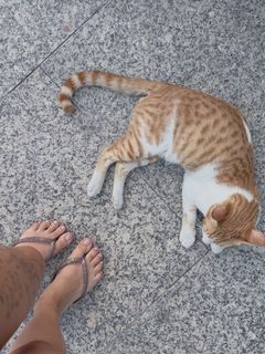Darya Zoteeva feet photo 16