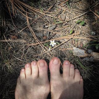 Daryl Hannah feet photo thumbnail