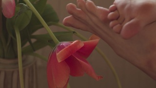 Dasha Nekrasova feet photo thumbnail