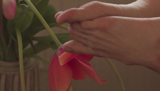 Dasha Nekrasova feet photo thumbnail