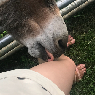 Dasha Nekrasova feet photo thumbnail