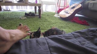 Datev Gallagher feet photo 3