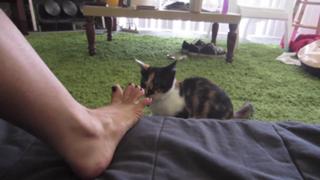 Datev Gallagher feet photo 1