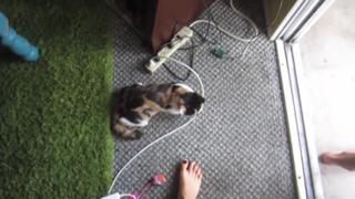 Datev Gallagher feet photo 11
