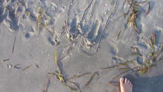 Datev Gallagher feet photo 3
