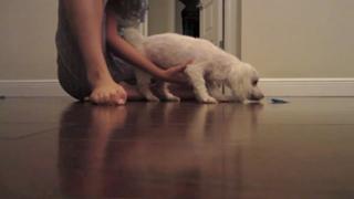 Datev Gallagher feet photo 3