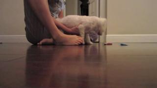 Datev Gallagher feet photo 2