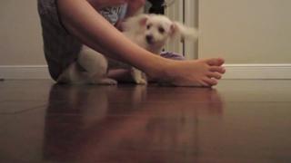 Datev Gallagher feet photo 18