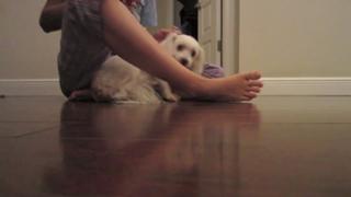 Datev Gallagher feet photo 17