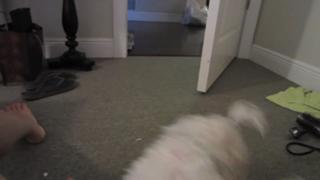 Datev Gallagher feet photo 19