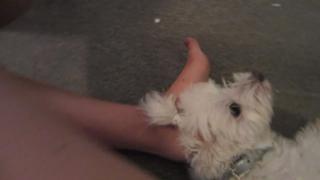 Datev Gallagher feet photo 18