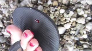 Datev Gallagher feet photo 10