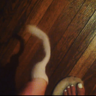 Dawn Porter feet photo 7