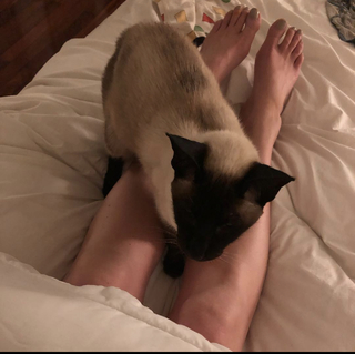 Dawn Porter feet photo 4