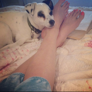 Dawn Porter feet photo 10