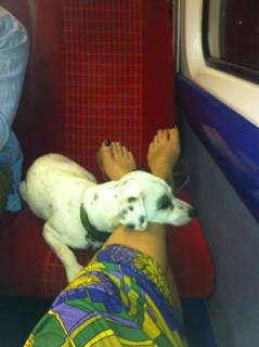 Dawn Porter feet photo 2