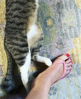 Dawn Porter feet photo 18