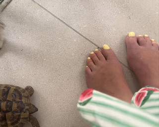 Dawn Porter feet photo 3
