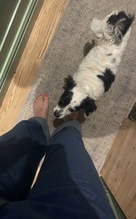 Dawn Porter feet photo 18