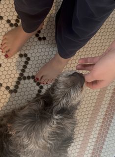 Dawn Porter feet photo 7
