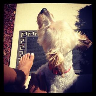 Dawn Richard feet photo 10
