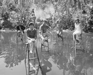 Dawn Wells feet photo thumbnail