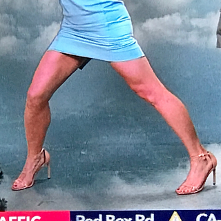 Dayna Devon feet photo 4
