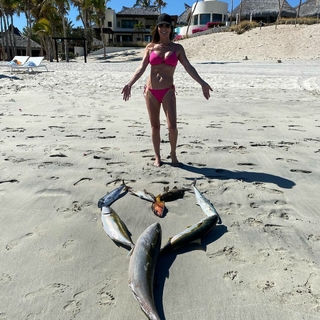 Debbe Dunning feet photo thumbnail